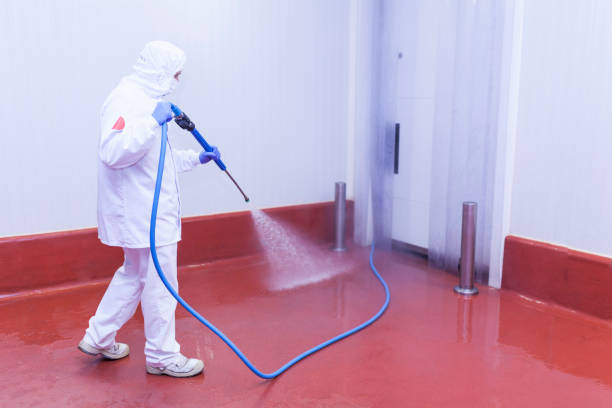 Best Winterizing Services  in Whitney Point, NY